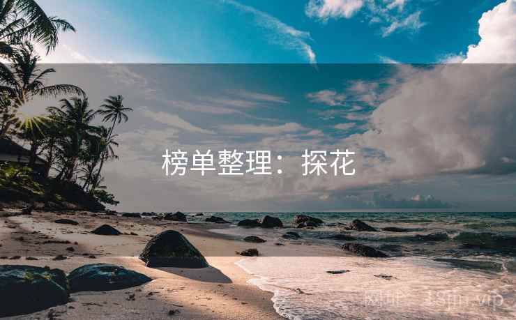榜单整理：探花