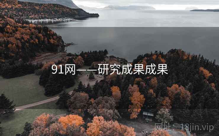 91网——研究成果成果