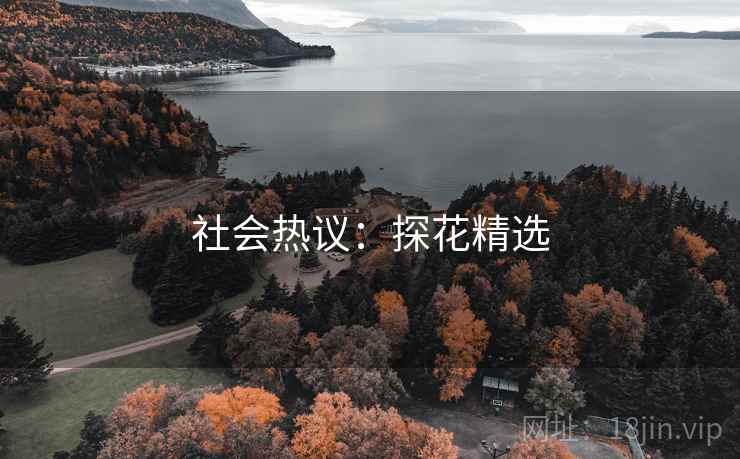 社会热议：探花精选