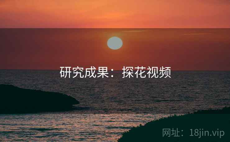 研究成果：探花视频