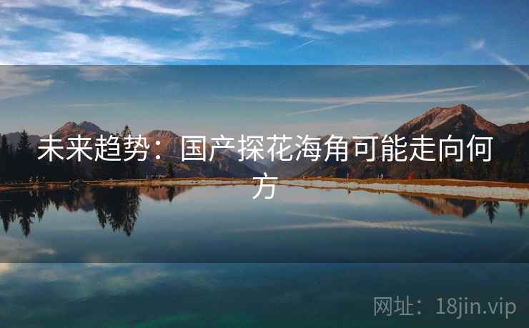 未来趋势：国产探花海角可能走向何方