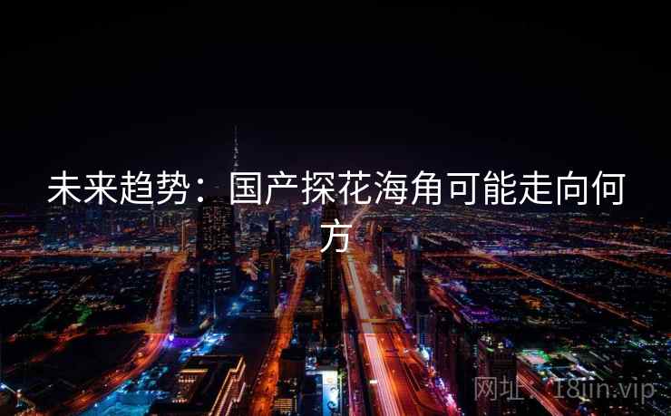 未来趋势：国产探花海角可能走向何方