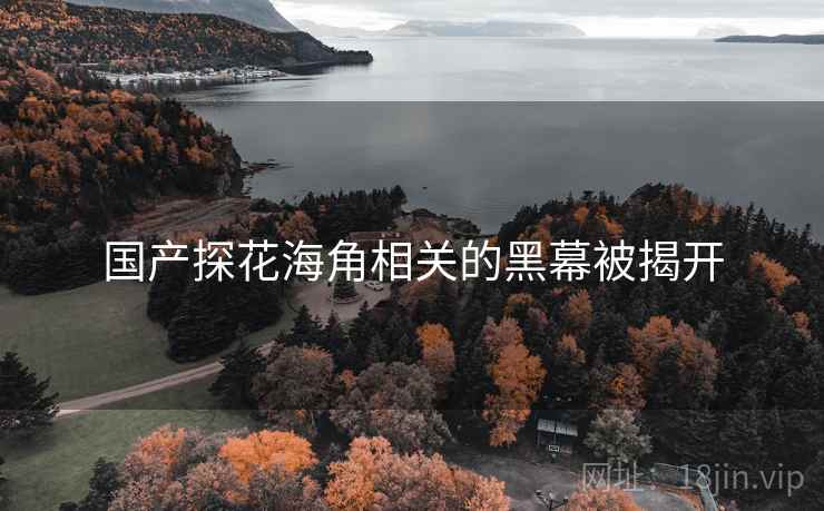 国产探花海角相关的黑幕被揭开