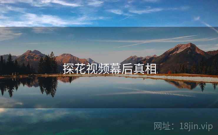 探花视频幕后真相