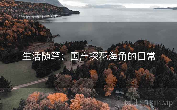 生活随笔：国产探花海角的日常