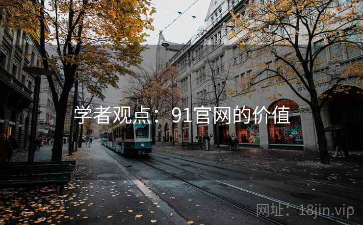 学者观点：91官网的价值