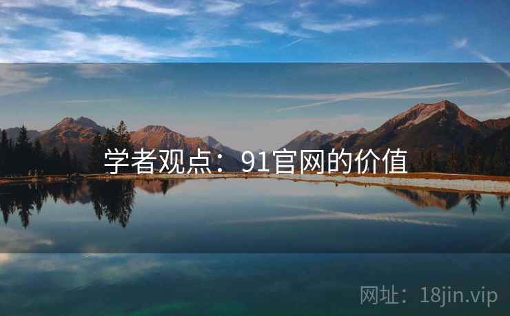 学者观点：91官网的价值