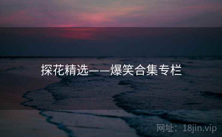 探花精选——爆笑合集专栏