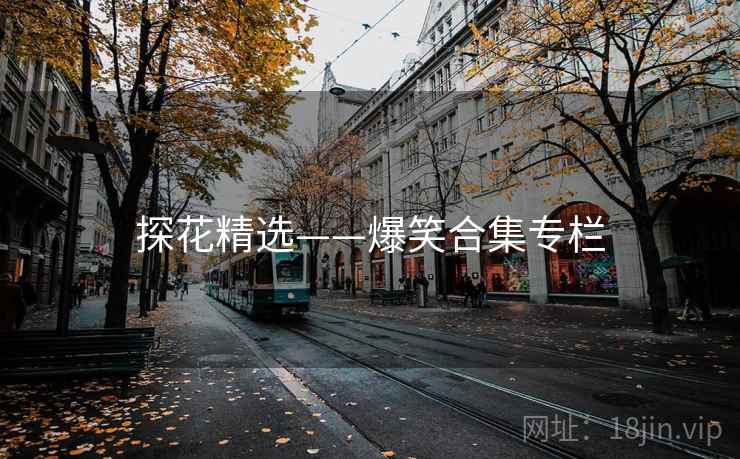 探花精选——爆笑合集专栏