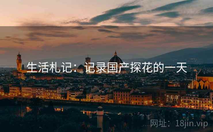 生活札记：记录国产探花的一天