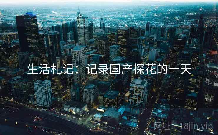 生活札记：记录国产探花的一天