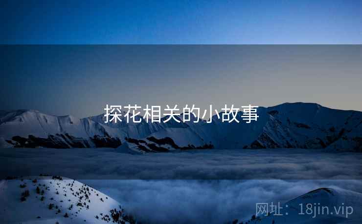 探花相关的小故事