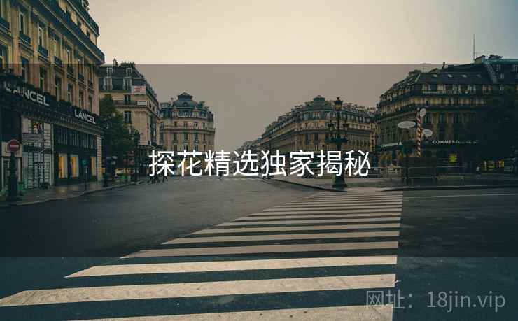 探花精选独家揭秘