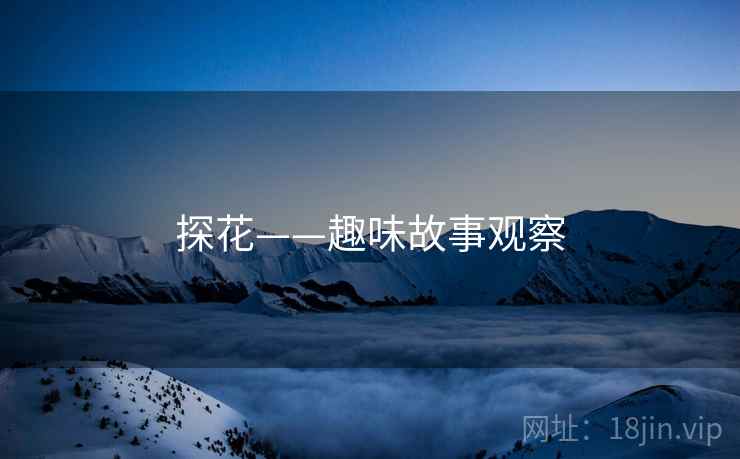 探花——趣味故事观察