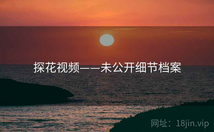 探花视频——未公开细节档案 探花视频——未公开细节档案