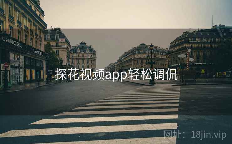 探花视频app轻松调侃