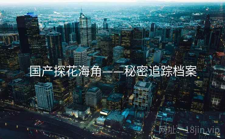 国产探花海角——秘密追踪档案