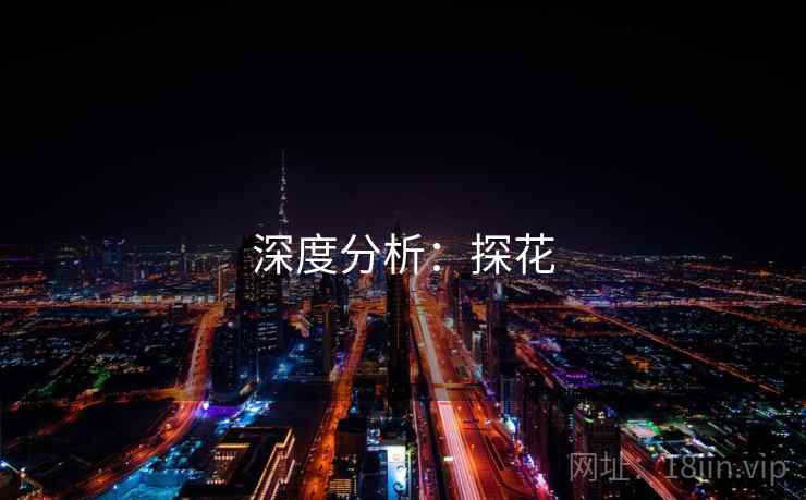 深度分析:探花 深度分析:探花