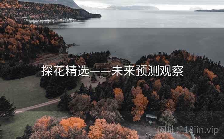 探花精选——未来预测观察